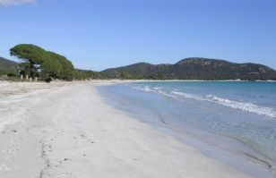 spiaggia di sabbia fine di Palombaggia